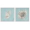 Stupell Industries Nautilus and Conch Seashells 2 pc Framed Giclee Wall Art Set Design by Julie Derice